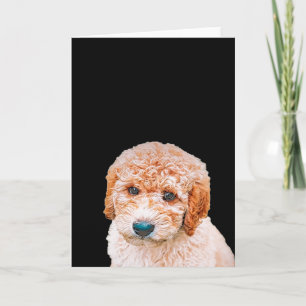 Labradoodle Puppy Card