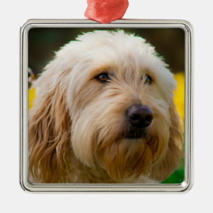 Labradoodle Puppy Dog Metal Tree Decoration