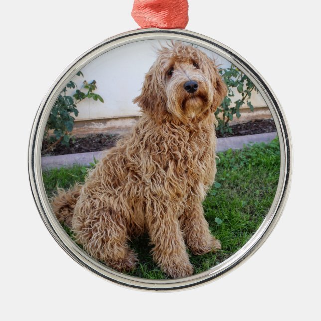Labradoodle Puppy Dog Metal Tree Decoration (Front)