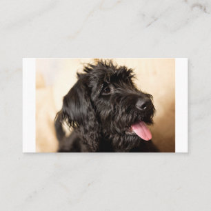 Labradoodle Standard, 3.5" x 2.0" Flat Place Card