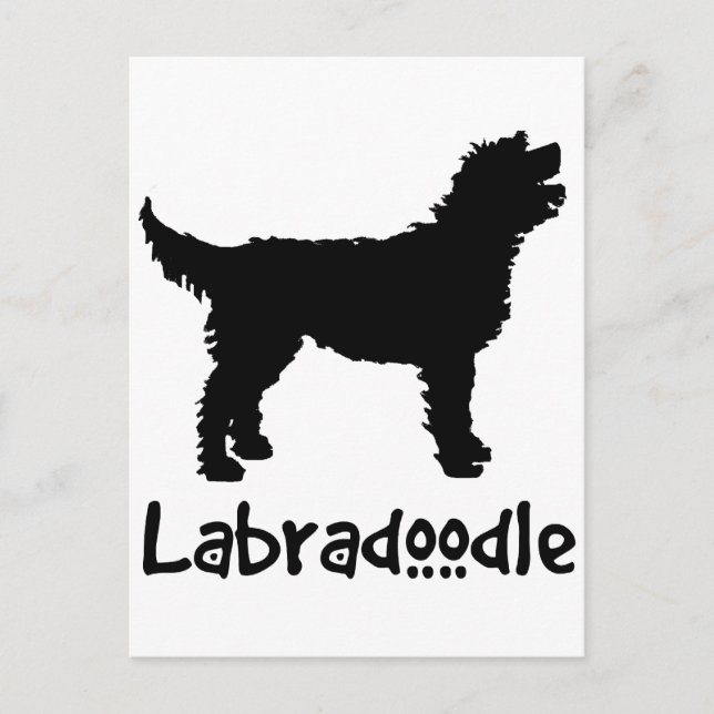 Labradoodle w/ Cool Text Postcard (Front)