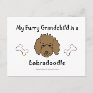 LabradoodleChocolate Postcard