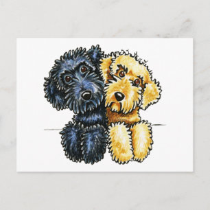 Labradoodles Black Yellow Lined Up Postcard