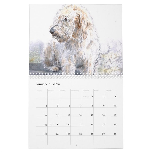 Labradoodles Calendar (Jan 2026)