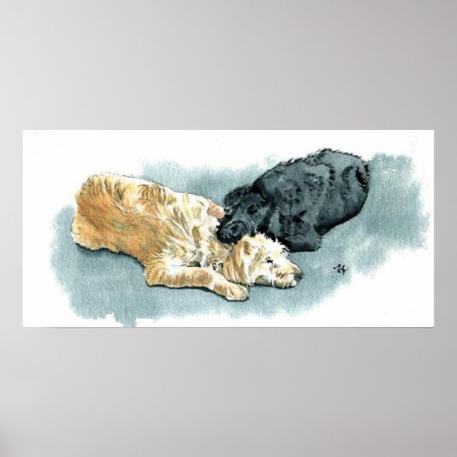 Labradoodles in Love Canvas Print (Front)