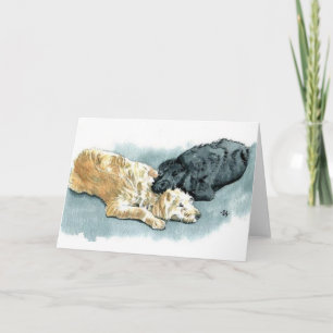 Labradoodles in Love Greeting Card