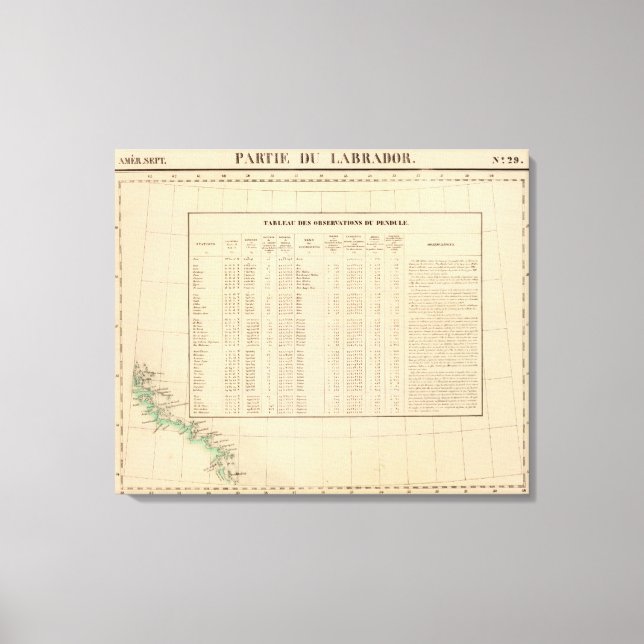 Labrador 29 canvas print (Front)