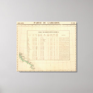 Labrador 29 canvas print