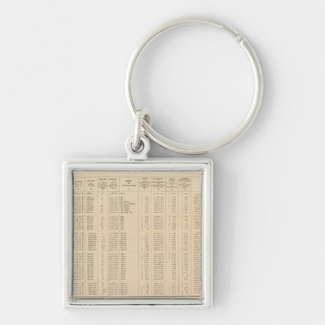 Labrador 29 key ring (Front)