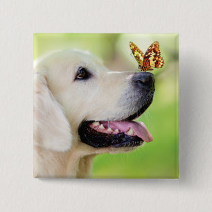 Labrador And Butterfly Throw Pillow 15 Cm Square Badge