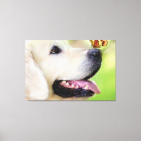 Labrador And Butterfly Throw Pillow