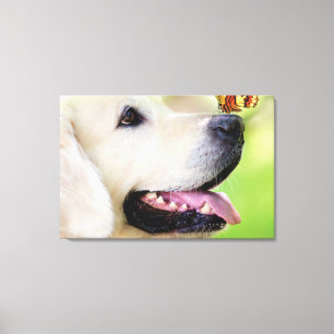 Labrador And Butterfly Throw Pillow Canvas Print