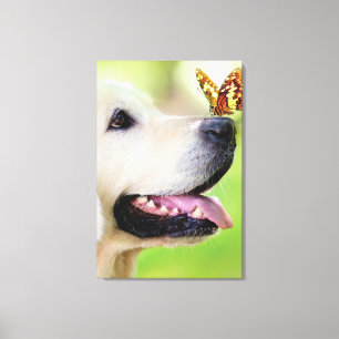 Labrador And Butterfly Throw Pillow Canvas Print