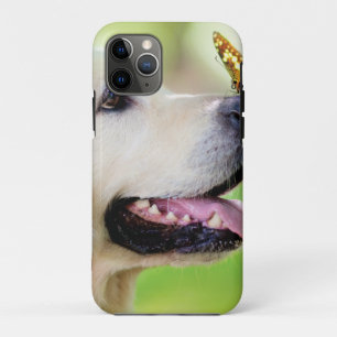 Labrador And Butterfly Throw Pillow iPhone 11 Pro Case