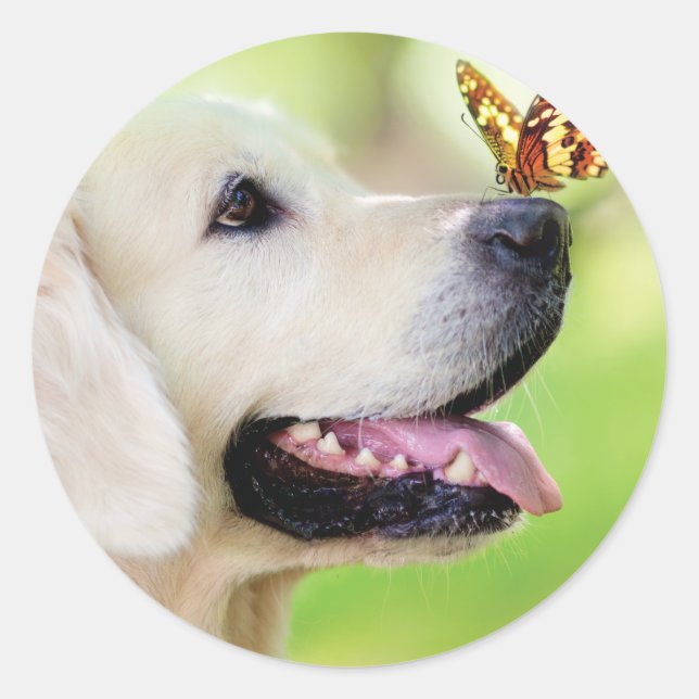 Labrador And Butterfly Throw Pillow Classic Round Sticker (Front)