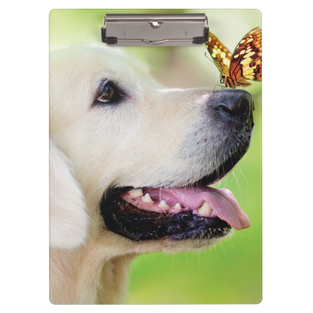 Labrador And Butterfly Throw Pillow Clipboard (Front)