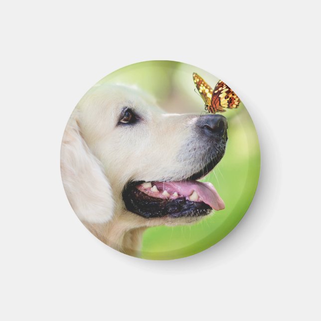 Labrador And Butterfly Throw Pillow Magnet (Front)