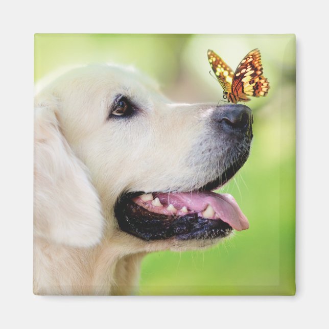 Labrador And Butterfly Throw Pillow Magnet (Front)