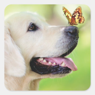 Labrador And Butterfly Throw Pillow Square Sticker