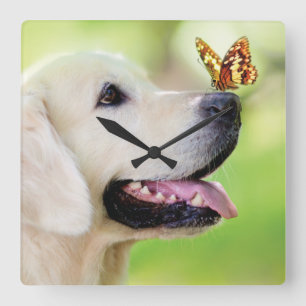 Labrador And Butterfly Throw Pillow Square Wall Clock