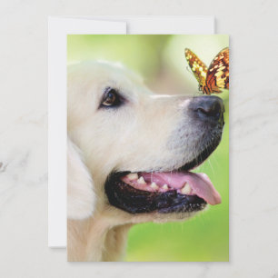 Labrador And Butterfly Throw Pillow Thank You Card