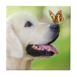 Labrador And Butterfly Throw Pillow Tile
