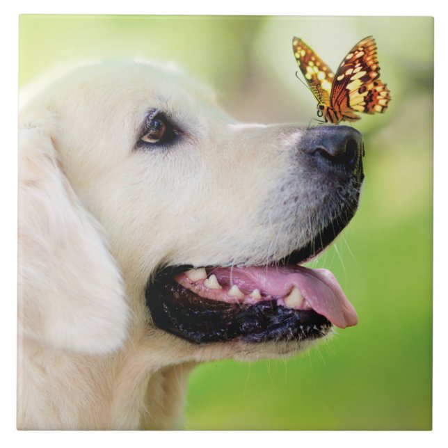 Labrador And Butterfly Throw Pillow Tile (Front)