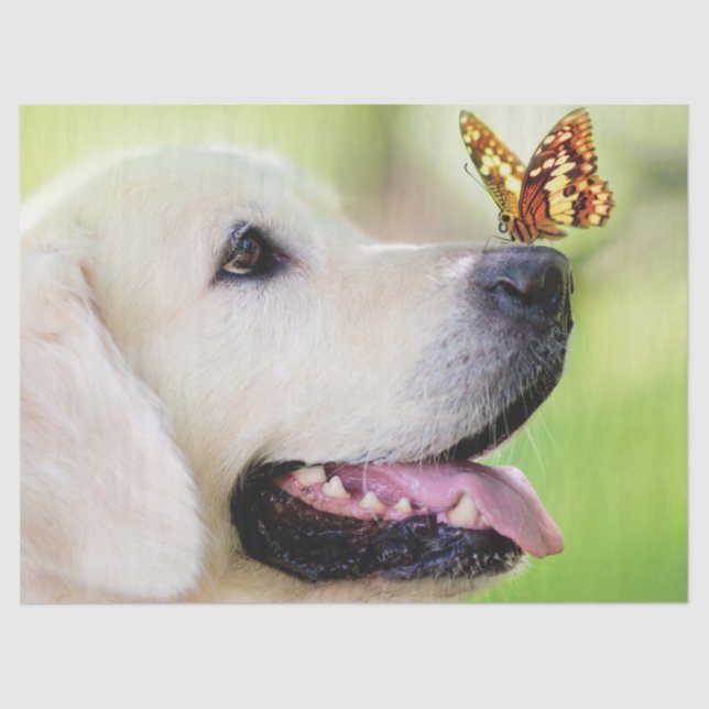 Labrador And Butterfly Throw Pillow Tissue Paper (Front)