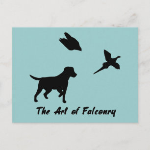Labrador and Falconry Postcard