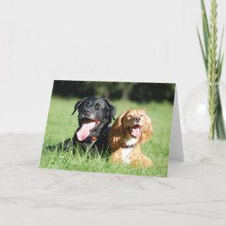 Labrador and Working Cocker Spaniel Greeting Card