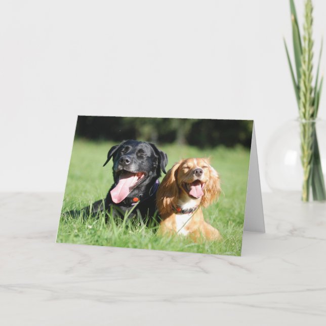 Labrador and Working Cocker Spaniel Greeting Card (Front)