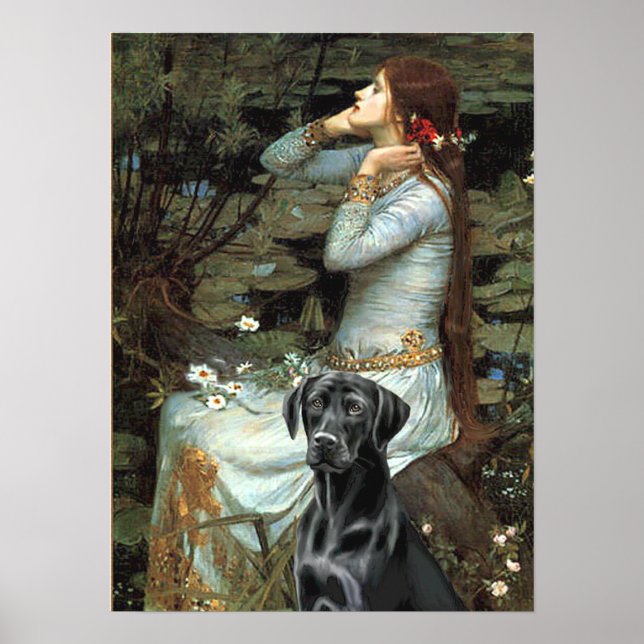 Labrador (black 1) - Ophelia Poster (Front)