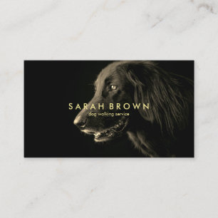 Labrador Black Dog Walker sitter grooming Business Card