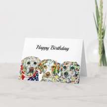 Labrador, Brittany Spaniel, Border Collie