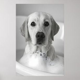 Labrador Bubble Bath Print, Funny Dog Bathroom Art Poster