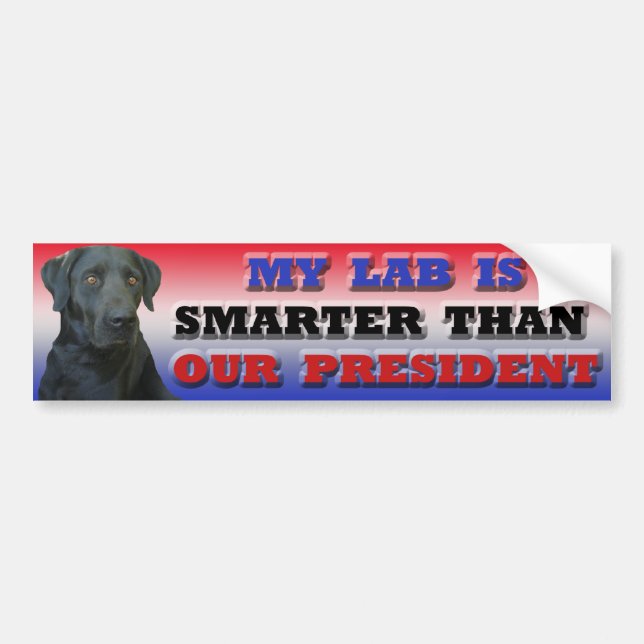 Labrador bumper sticker (Front)