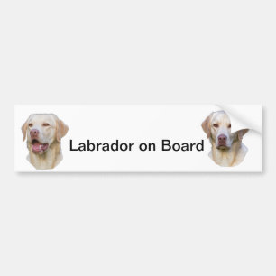 labrador bumper sticker