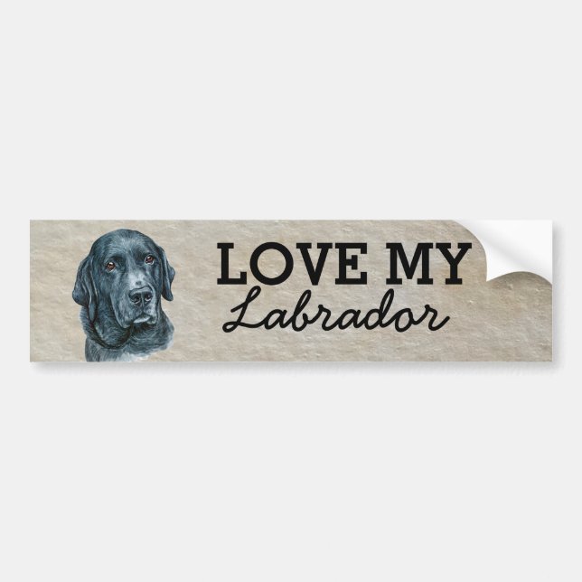 Labrador Bumper Sticker (Front)