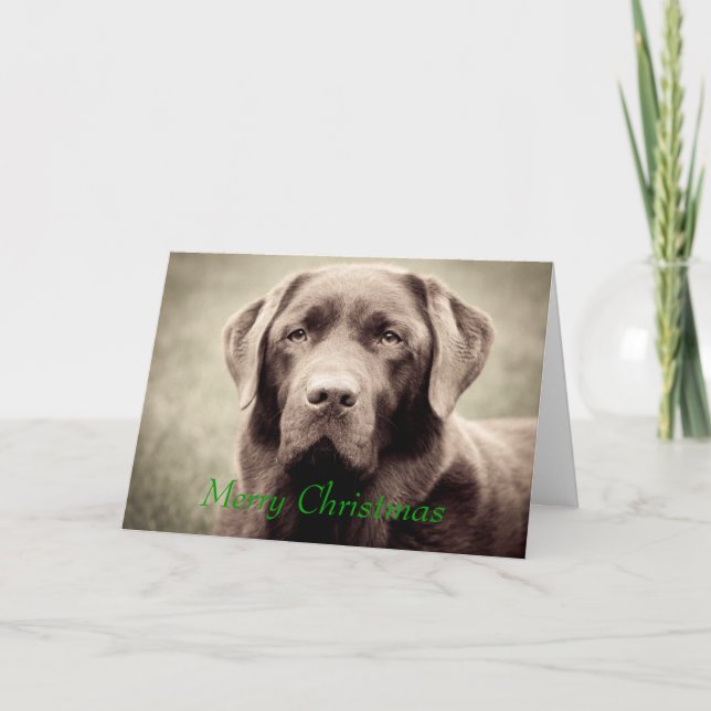 Labrador - Chocolate Holiday Card (Front)
