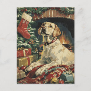 Labrador Christmas  Postcard