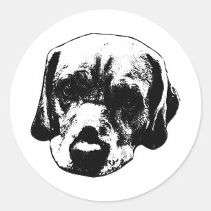 Labrador Close‑Up Black & White Portrait Sticker