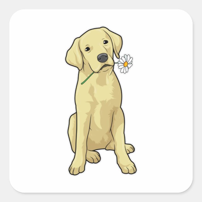 Labrador Daisy Square Sticker (Front)