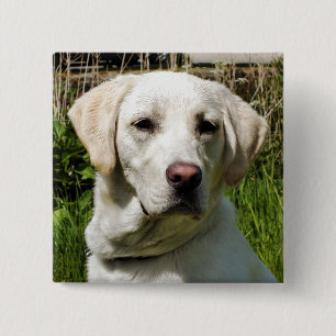 LABRADOR DOG 15 CM SQUARE BADGE