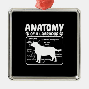 Labrador Dog Anatomy Metal Tree Decoration