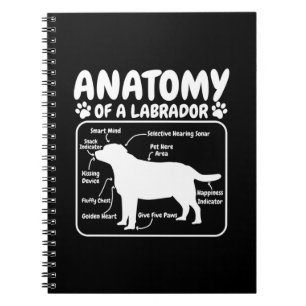 Labrador Dog Anatomy Notebook