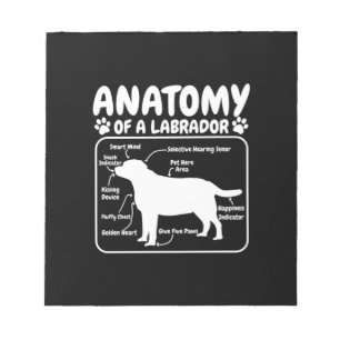 Labrador Dog Anatomy Notepad