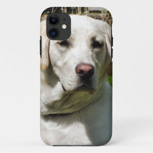 LABRADOR DOG iPhone 11 CASE