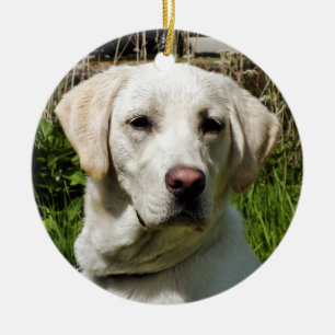 LABRADOR DOG CERAMIC TREE DECORATION