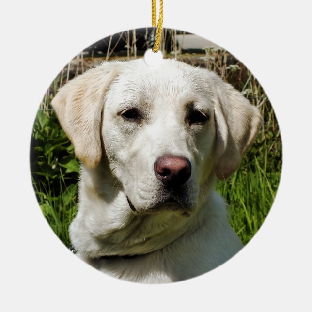 LABRADOR DOG CERAMIC TREE DECORATION (Front)