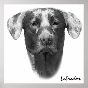 Labrador Dog classic Poster